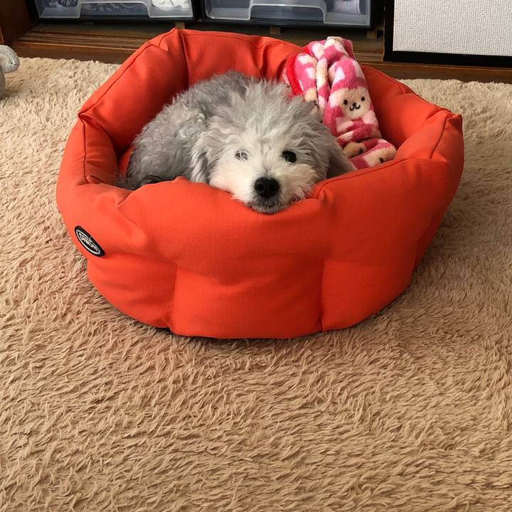 604461aa ebe8 4a12 b6ba 46b050e13e28 1575157661952