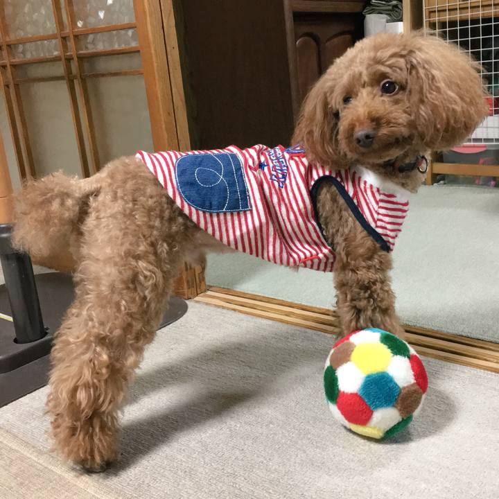 60446c25 dc2d 4ad9 ba4d 1d10da71ffae 1535759438212