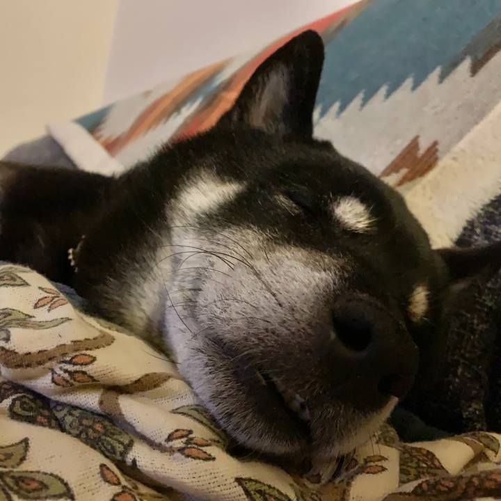 6044e968 2ca9 40a0 b4a9 501412b8989b 1637253494262