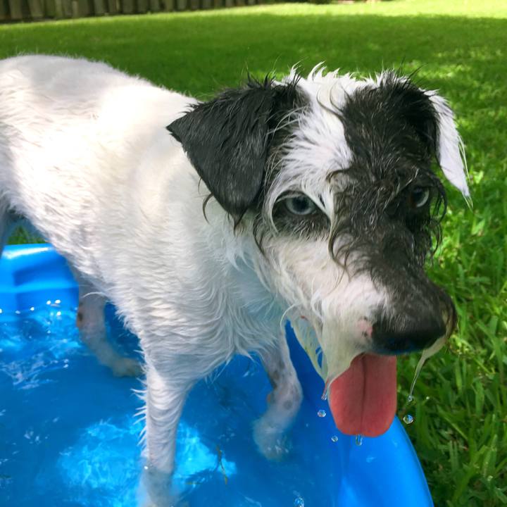 6044f988 e076 4924 ac7a 1ce561a612fd 1530401392184