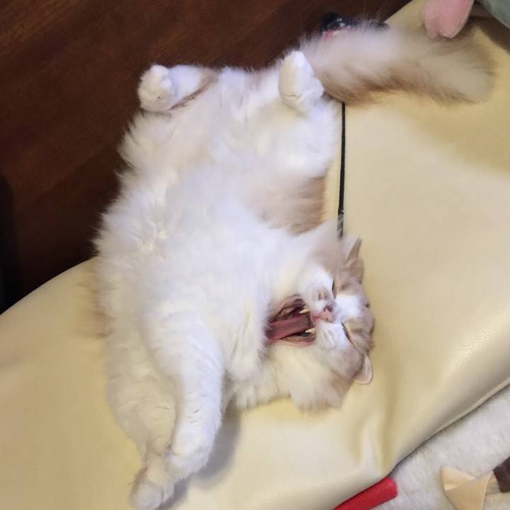 6045445b 9c10 40d0 bbbc 002e775e6976 1558788895803