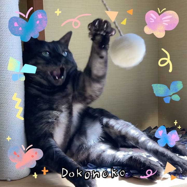 6045b29e 38f3 4ec0 9577 34cdaddb86f3 1711153353659