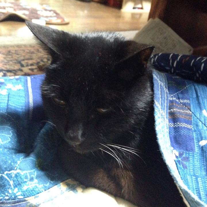 60460829 c593 4c18 89db fc8fe912a993 1510217386469