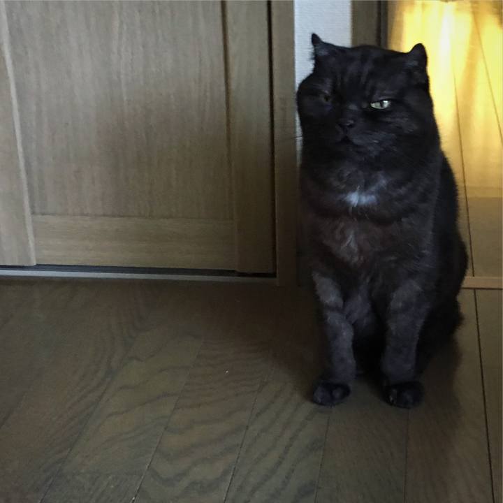 604613f1 bbbc 44bf a075 9cbd46572f30 1525570256899