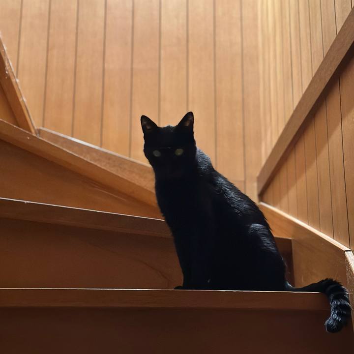 604649fd 0663 48dc b01b f25b0ab67407 1697939503784