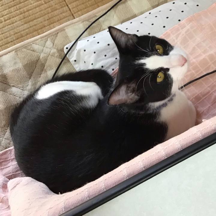 60464d54 6765 446f acb7 a4b980100235 1640925038403