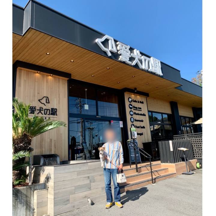 604659b6 7aad 48e2 ba36 e14948b72fb6 1604204031394