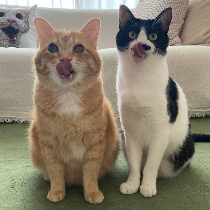 60469c61 7f50 4889 ac7d 8164a30e7510 1759063753378