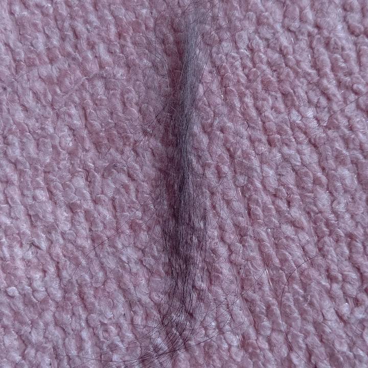 6046aeed d5e6 4a4a 83ee 4e430eebc6e8 1613559350735