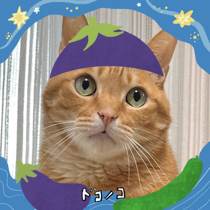 6046fe9a f588 4b2d a22e 237489983d90 1755125988478