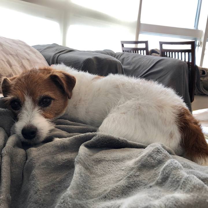 60470510 7a63 49f4 82e5 afcb9b646093 1592702100976