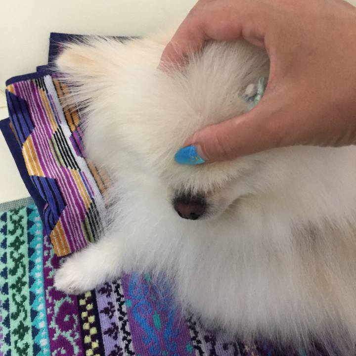 60473abb d9bd 4d16 a087 16cb9f2e7e90 1567619904409