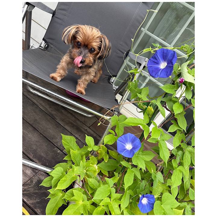 60475123 9d81 40fc 87b7 b8455a2259ea 1755037707574