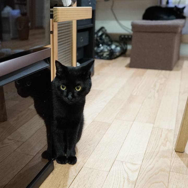 604762e6 d8e8 468c a78c dc1ff5263ddb 1561506090664