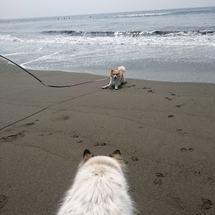 60478c8f 26ce 4443 b6e8 0e96a167cc60 1554640413386