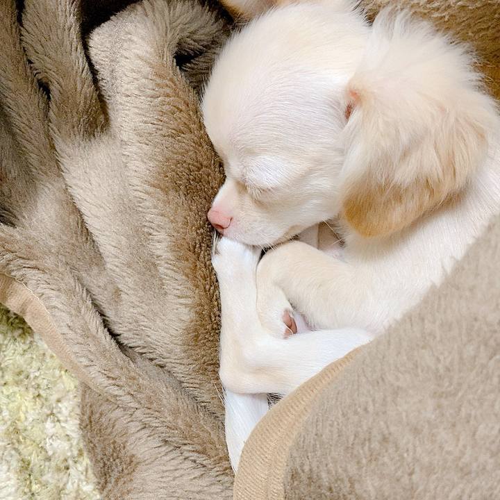 60479417 777a 4bf5 a914 243f03f8e3da 1592385622236