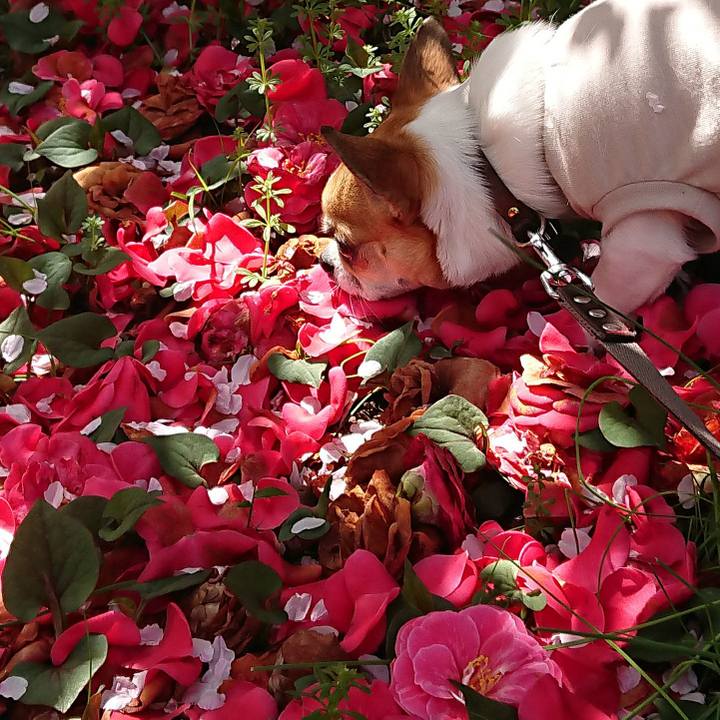 6047b149 9ce5 491e b22e f535b1e8890f 1617319391262