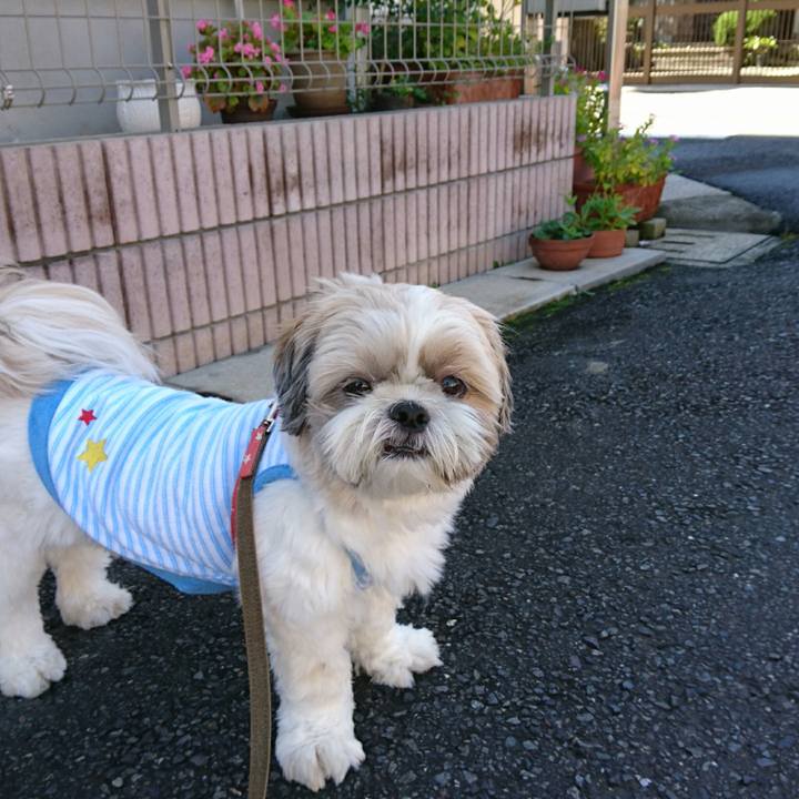 6047f6a6 2d55 4f5e ab50 c36a2fb23f44 1538097018872