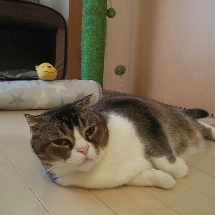 6047fa20 6a7e 4529 afa3 782bda943814 1695434245319