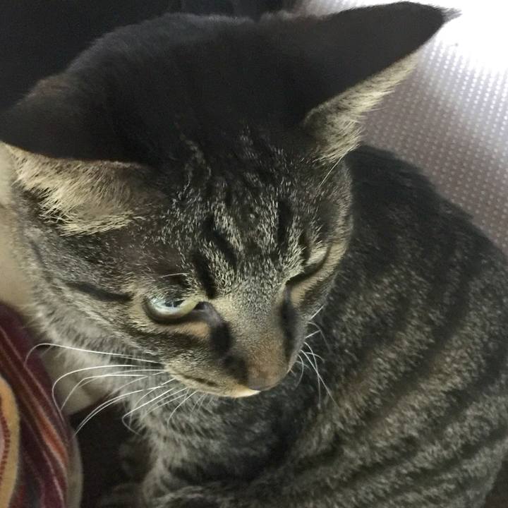 60480cca 0694 47f4 b196 a491392725cd 1523074272483