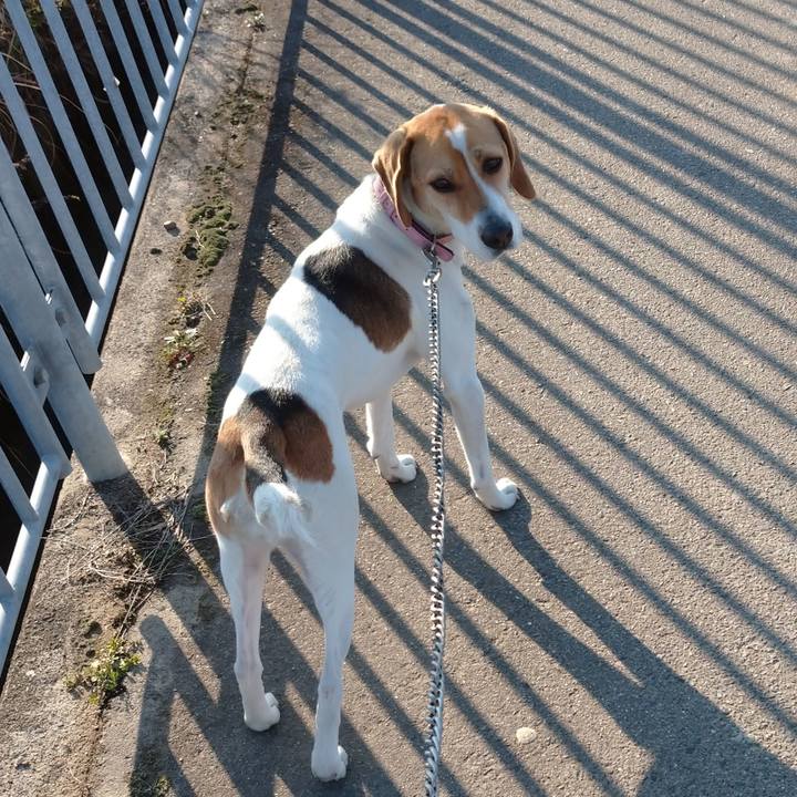 60482b86 1acc 48eb 9585 46bedc8a7453 1581581027157