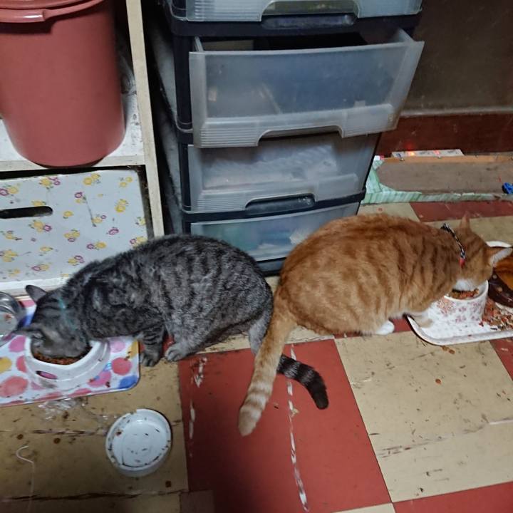 604852e1 ca1b 4c8d af3e 2b6df55cbd70 1571907400278