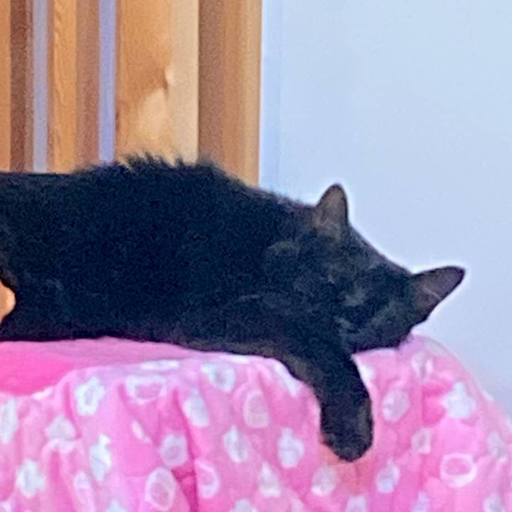 6048629a d963 423c 9917 2a0b2057626e 1735651037237