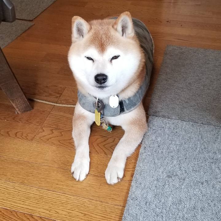 6048756d 4dd3 4a79 a030 0955a2686615 1647135935972