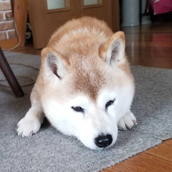 60487efa 3a51 4c04 ac85 3376f43a9020 1709168004797