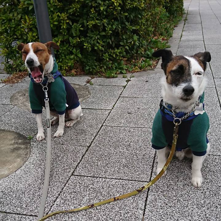 6048d99b 7c8d 402c 909e bc7b54c69287 1615072582266