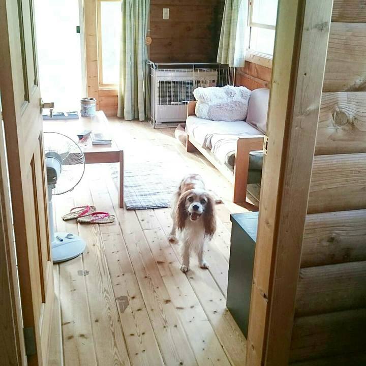 6048fa0b da97 46cb a6e3 460c8dc8e019 1562288045653