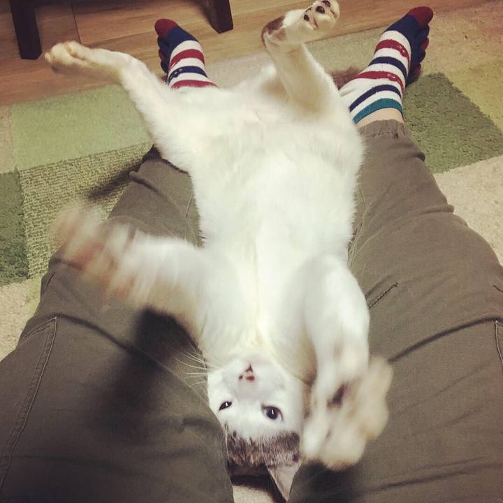 60491253 a8ad 44d1 b2f5 538e2eeb0d53 1554787498585