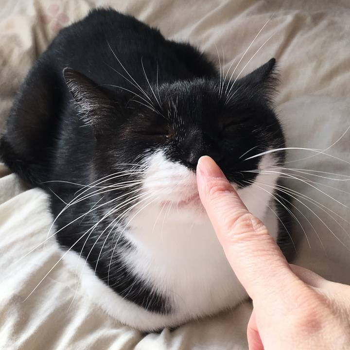 60491b58 47b2 48ab 8927 ac2bb95a7150 1572767538400