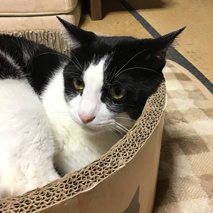 60491c20 651f 4dbc 9432 0c035d47b193 1729753502750