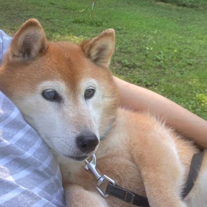 60491d71 965d 4c33 bea7 028c51676f6b 1750132743598