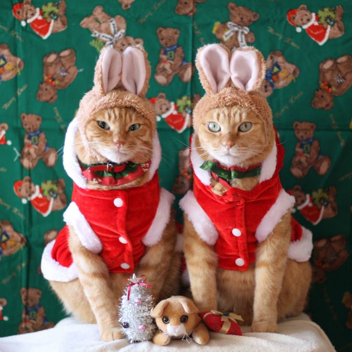 60493c2b d1b0 4f44 9fde e7f03f50906e 1514042842665