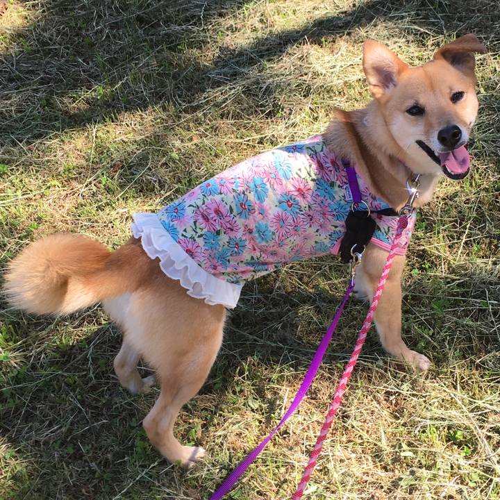 604949f3 3d99 4689 8067 3b6d88e90731 1528164329902