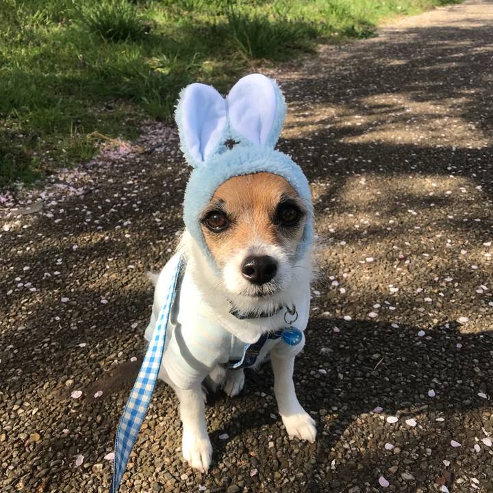 60495545 9834 4223 aacd 799588befd99 1522543574356