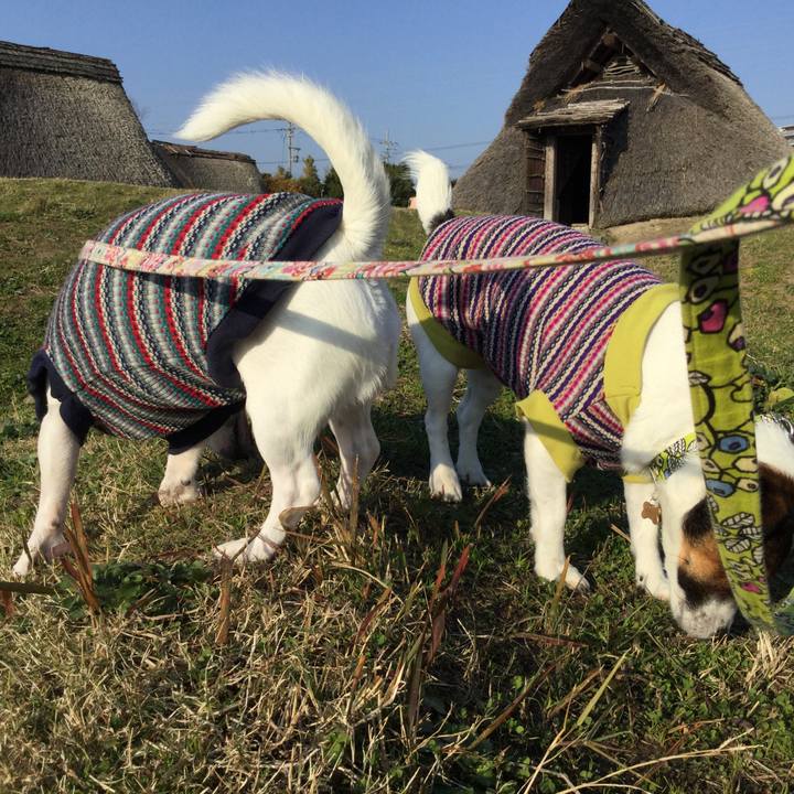 60498d86 7d58 4bdb 9479 3ba79d5fa7cc 1545352102315