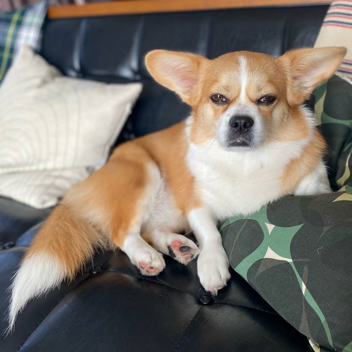 6049ebed 712c 4236 8433 635de9793bbe 1636508219787