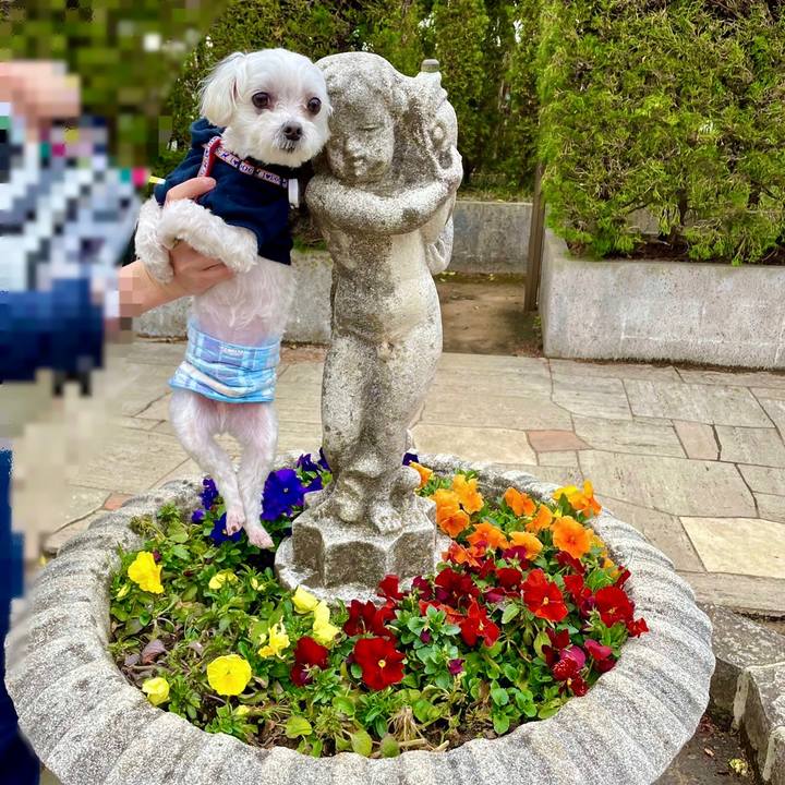 604a18fd 5e30 466a adbf a98cd2b138a6 1649386719153