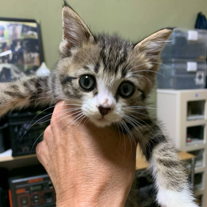 604a2a6b e7c2 4911 9ded 1edeec2b1c4f 1686138164677