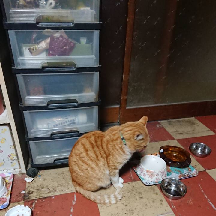 604a2bbd 4679 4fbb 867a 090d3b533af2 1583783779895