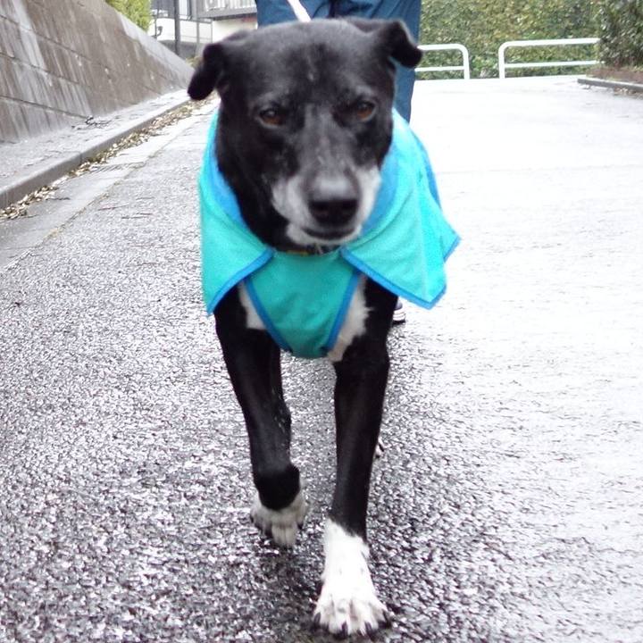 604a516a 855f 4073 9484 496023ccc709 1711412695347