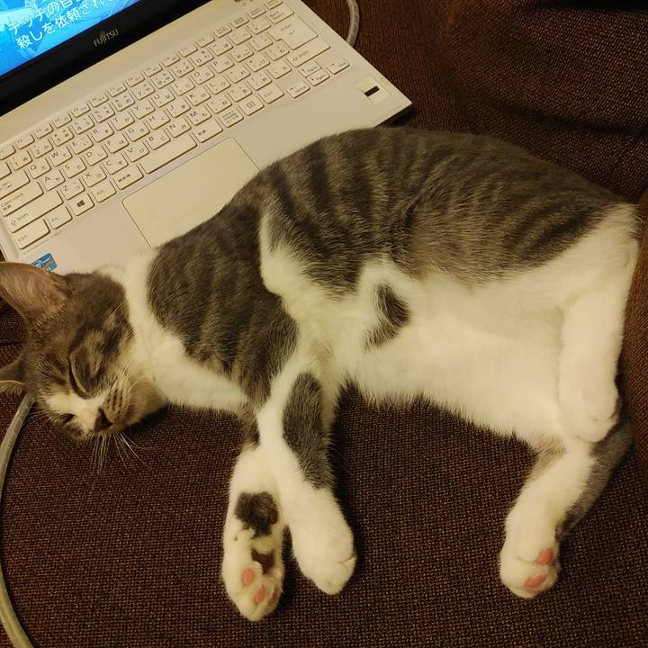 604aa313 7f33 46ee 9d73 e84a90d62cb6 1570795480258