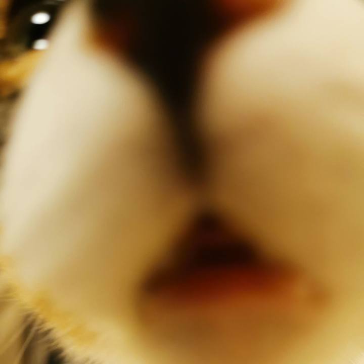 604b2f25 b362 48db 8c4b dd496f35ca6c 1668232282052