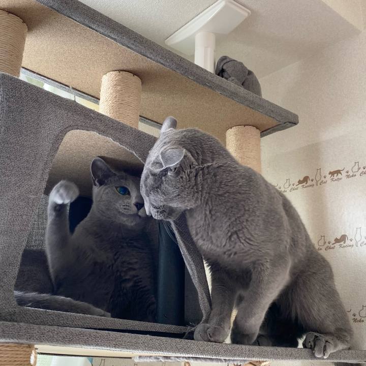 604b3f6b 51ca 4c83 bef9 7292f270c921 1658289975274