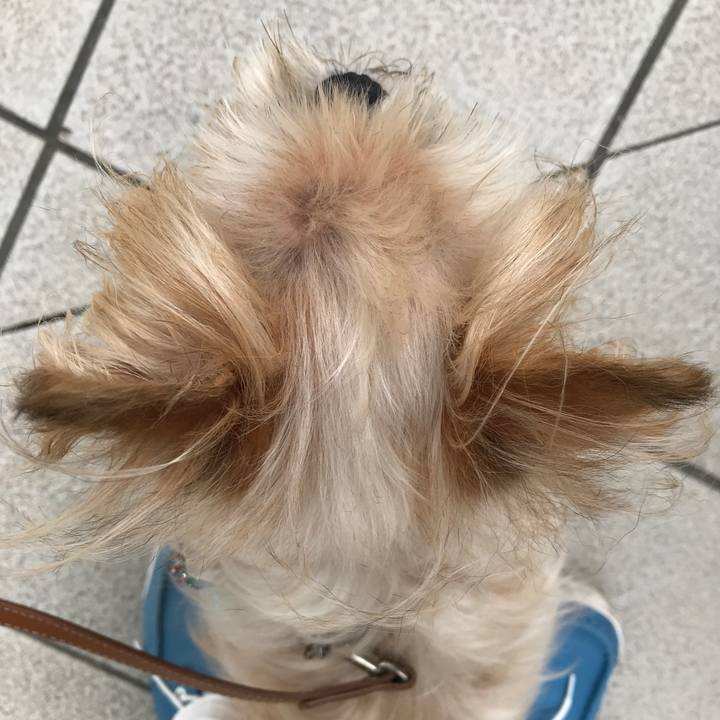 604bb656 87d1 4dab a470 6f27a011a5a9 1594599149387