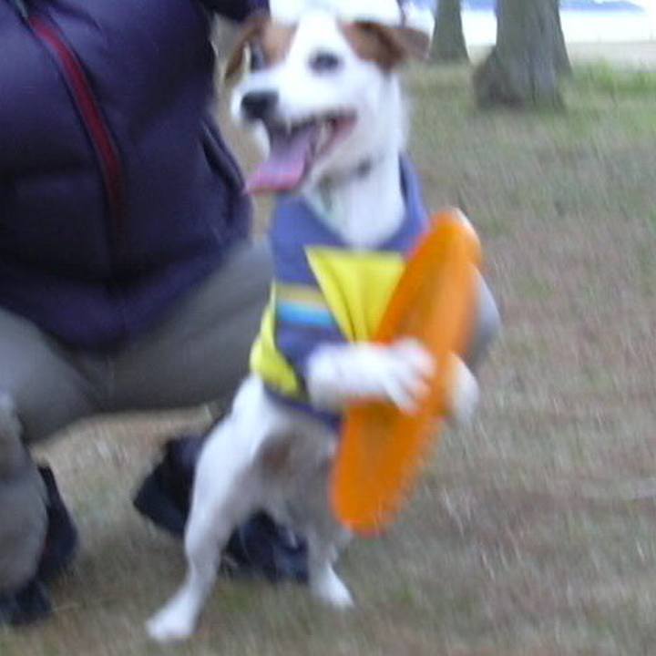 604bcf51 f199 4464 9be7 d7c8db4e420b 1524008309989