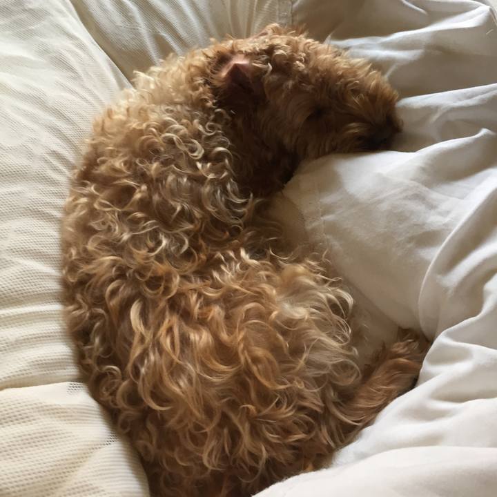 604bd570 fa20 4b7d 97d0 526377d04ef8 1509586770372